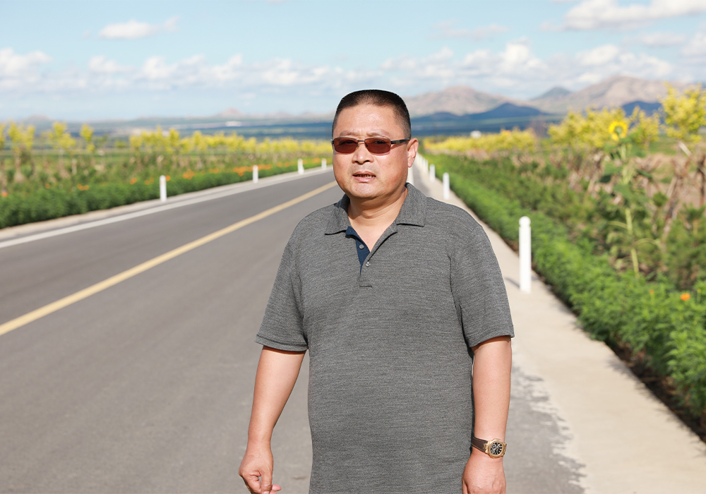 ��������MR��(�й�����)�ٷ���վ