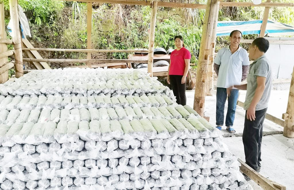 ��������MR��(�й�����)�ٷ���վ