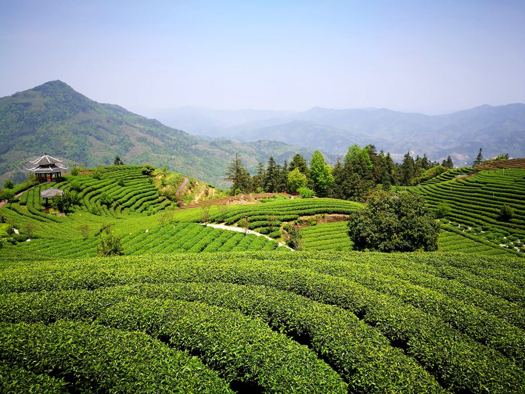 20210119-poverty-alleviation10-1024x768 ÒÚÍòÏÈÉúMR¡¤(Öйú¼¯ÍÅ)¹Ù·½ÍøÕ¾