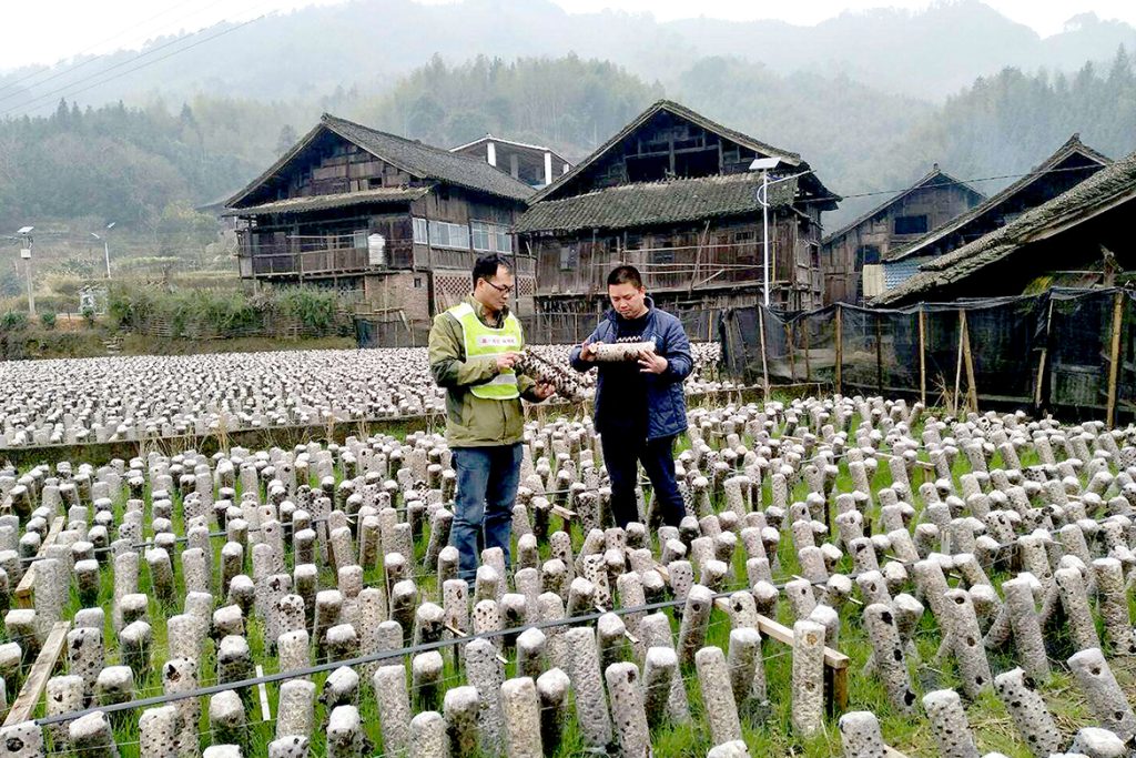 20210119-poverty-alleviation2-1024x683 ÒÚÍòÏÈÉúMR¡¤(Öйú¼¯ÍÅ)¹Ù·½ÍøÕ¾