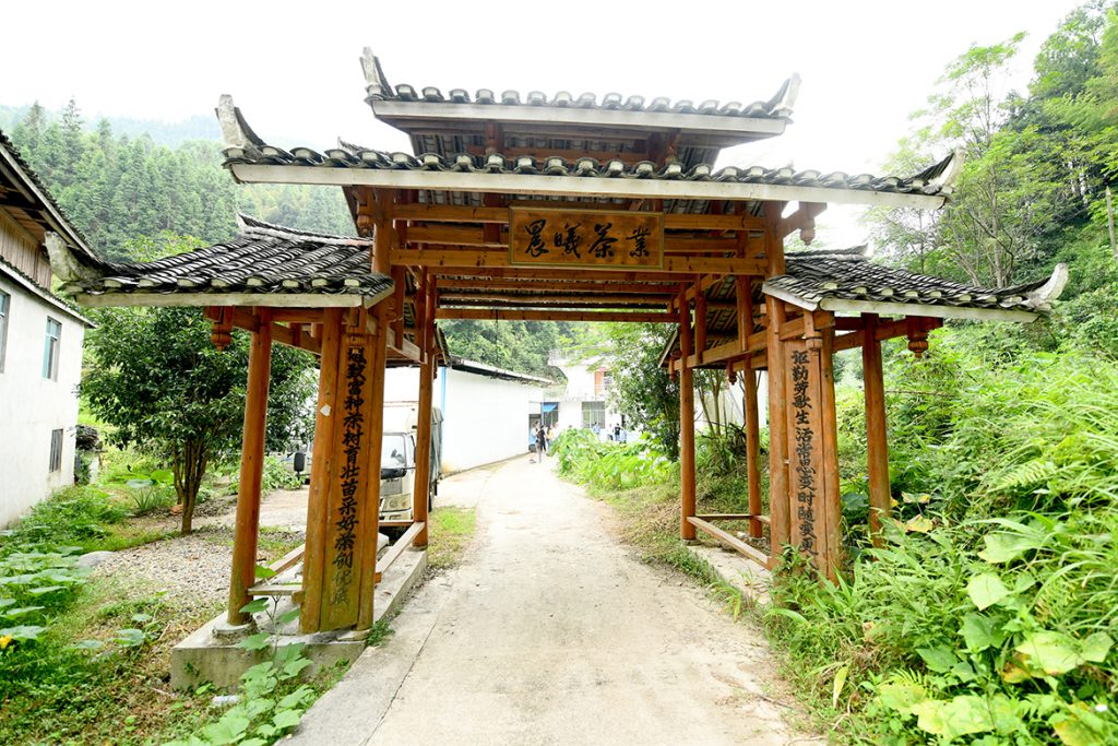 ��������MR��(�й�����)�ٷ���վ