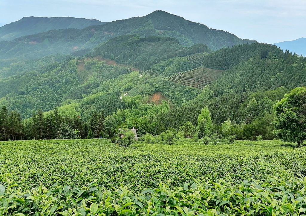 ��������MR��(�й�����)�ٷ���վ