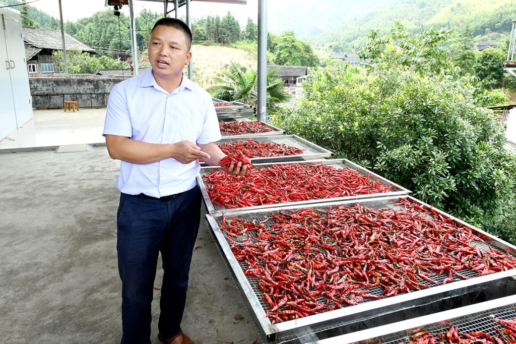 ��������MR��(�й�����)�ٷ���վ