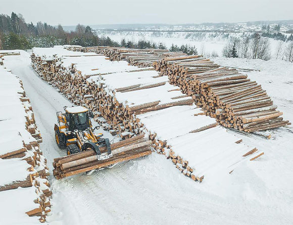 Forestry-2-1 亿万先生MR·(中国集团)官方网站