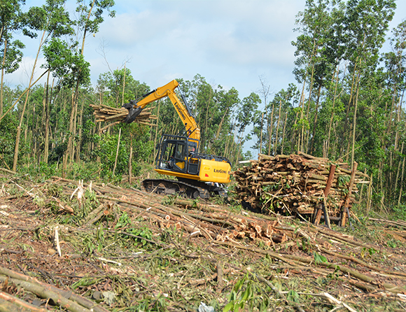 Forestry-4-1 亿万先生MR·(中国集团)官方网站