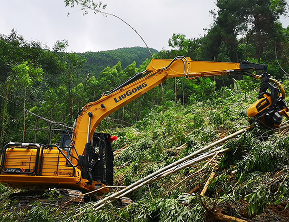 Forestry-5 亿万先生MR·(中国集团)官方网站