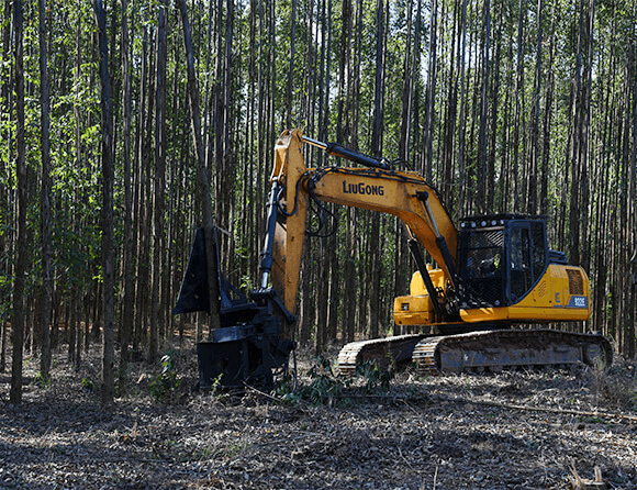 ��������MR��(�й�����)�ٷ���վ