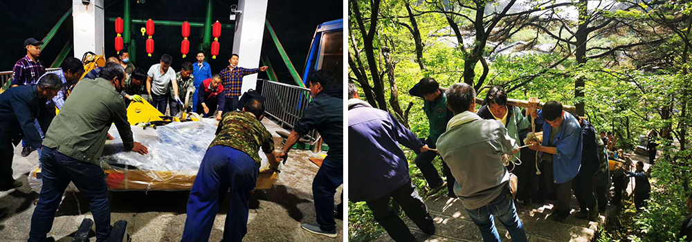 ��������MR��(�й�����)�ٷ���վ