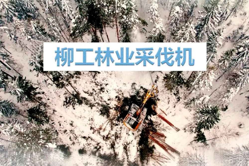 ��������MR��(�й�����)�ٷ���վ