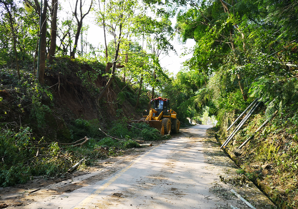 ��������MR��(�й�����)�ٷ���վ