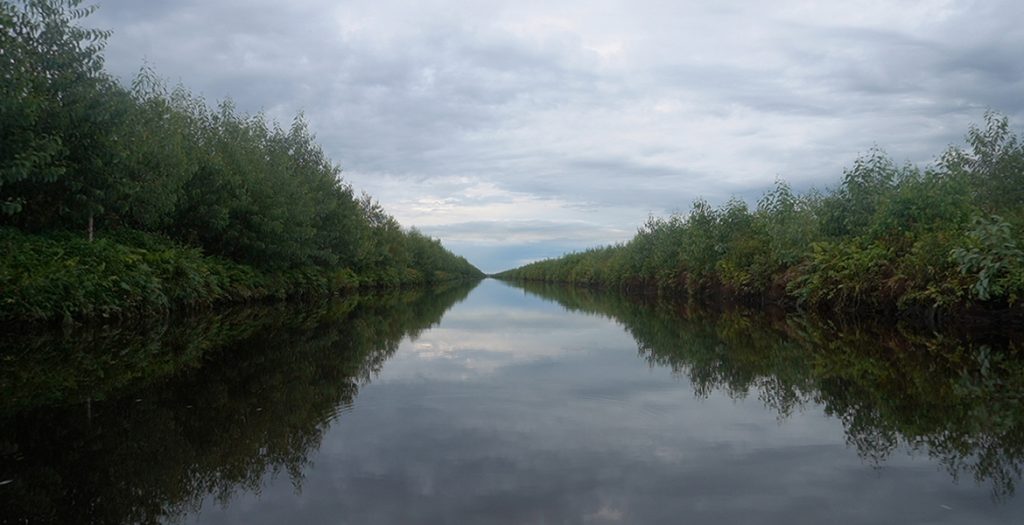 ��������MR��(�й�����)�ٷ���վ