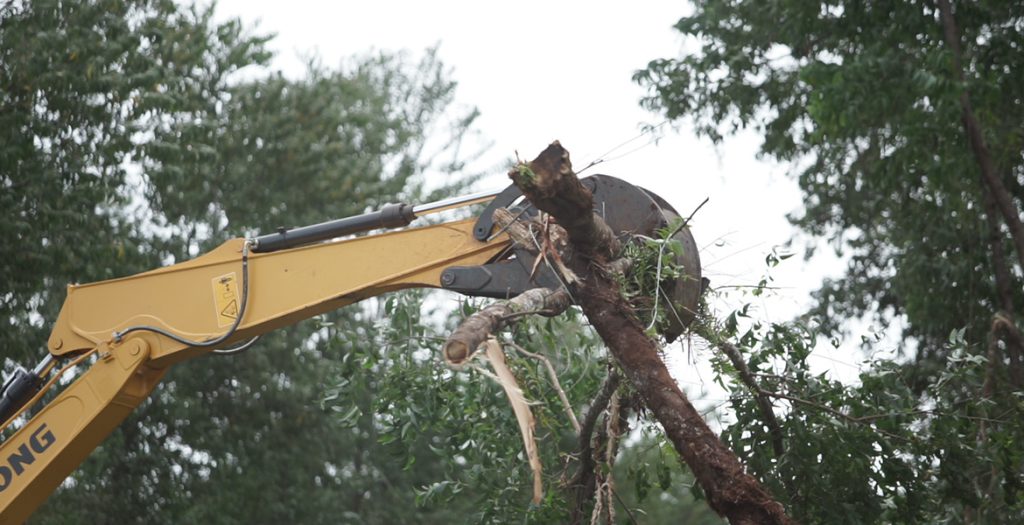 ��������MR��(�й�����)�ٷ���վ