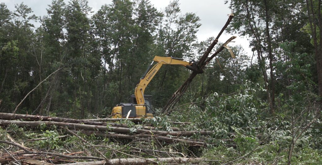 ��������MR��(�й�����)�ٷ���վ