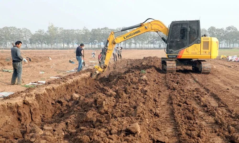 ��������MR��(�й�����)�ٷ���վ