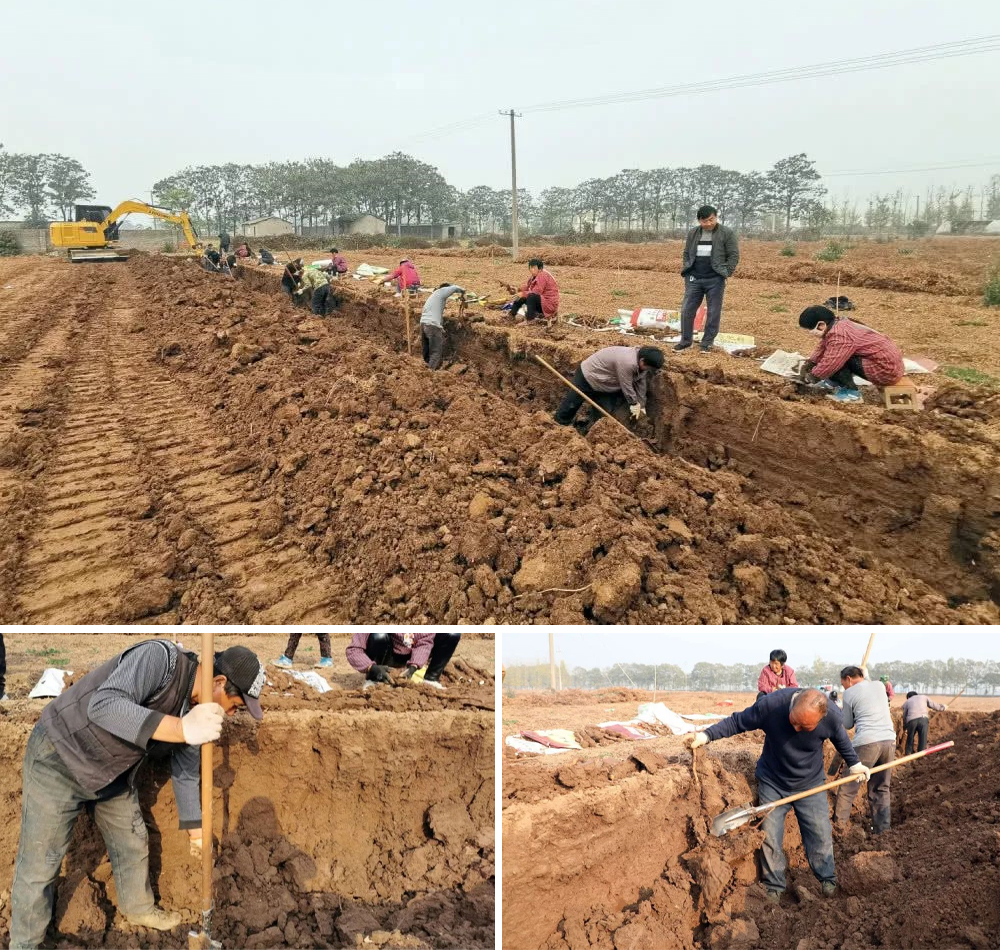 ��������MR��(�й�����)�ٷ���վ