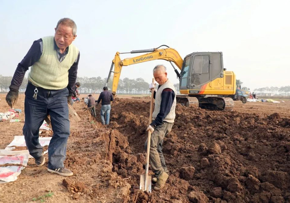 ��������MR��(�й�����)�ٷ���վ