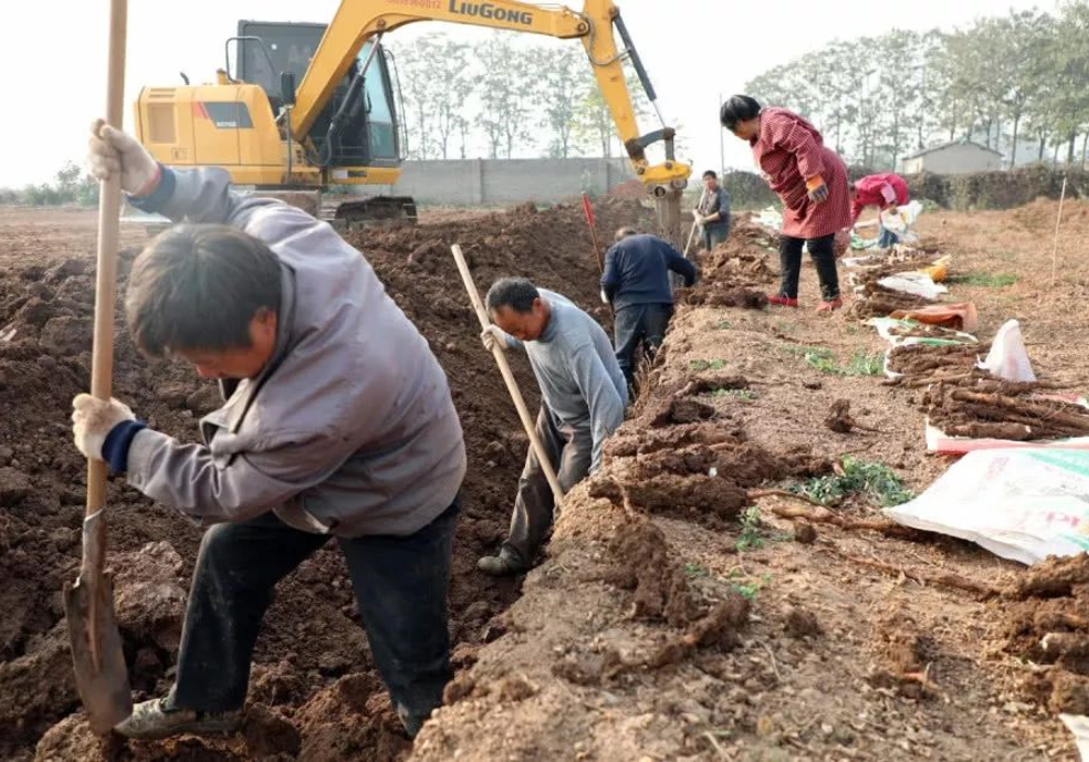 ��������MR��(�й�����)�ٷ���վ