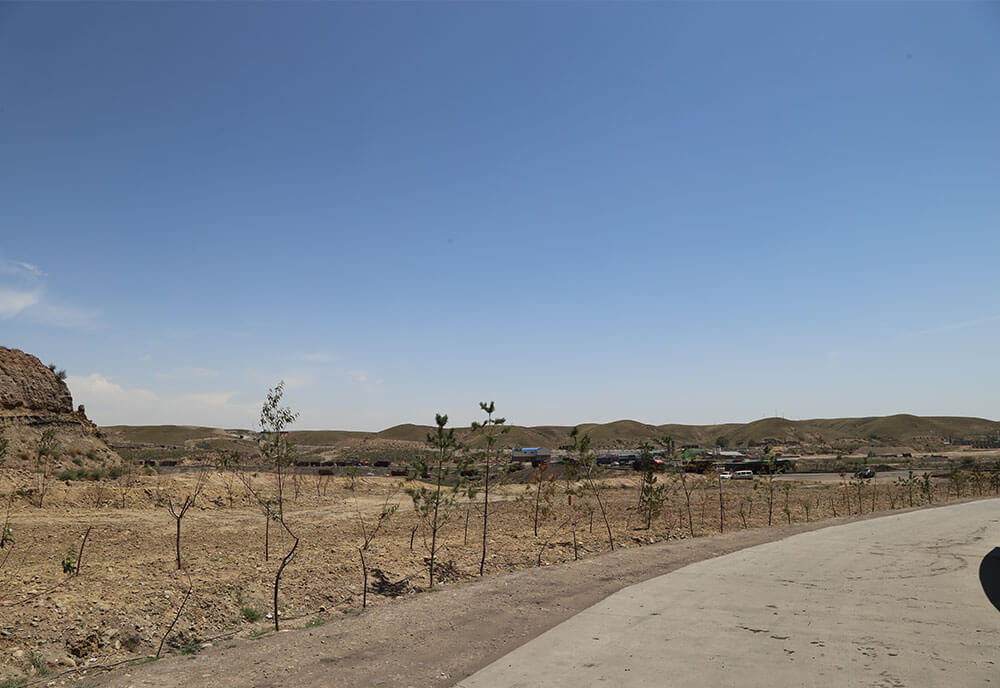 ��������MR��(�й�����)�ٷ���վ