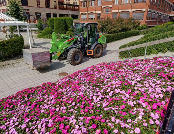 Landscaping-6 亿万先生MR·(中国集团)官方网站