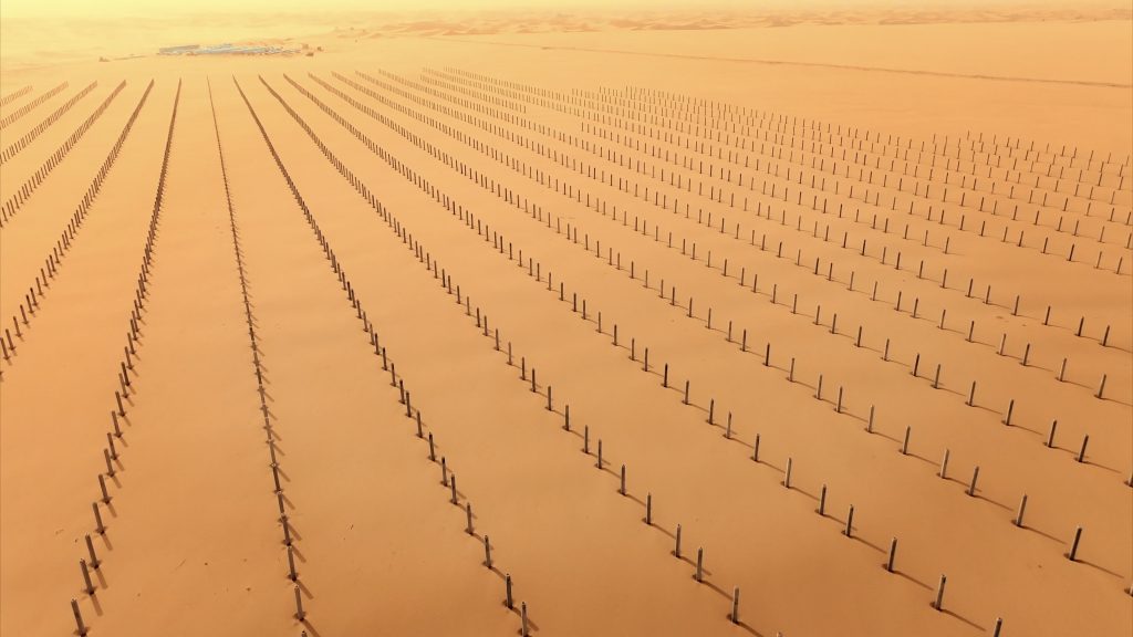 ��������MR��(�й�����)�ٷ���վ