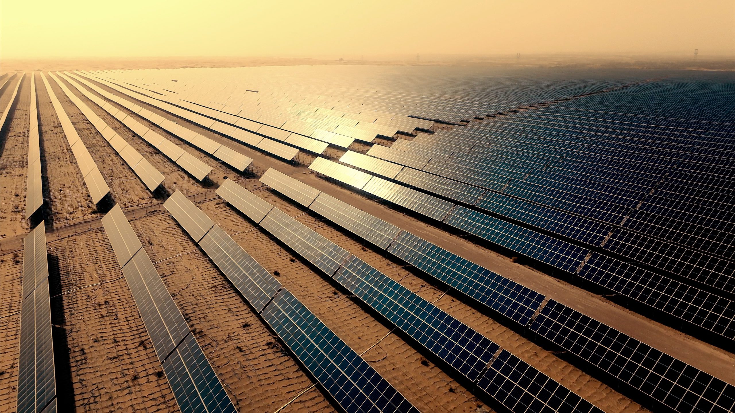 ��������MR��(�й�����)�ٷ���վ